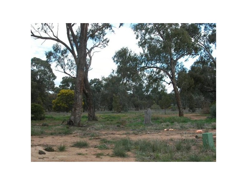 45 Swan Street, Wagga Wagga NSW 2650