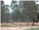 45 Swan Street, Wagga Wagga NSW 2650