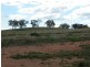 Wagga Wagga NSW 2650