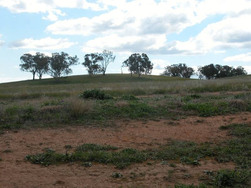 Wagga Wagga NSW 2650
