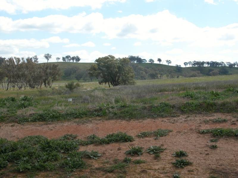 Wagga Wagga NSW 2650