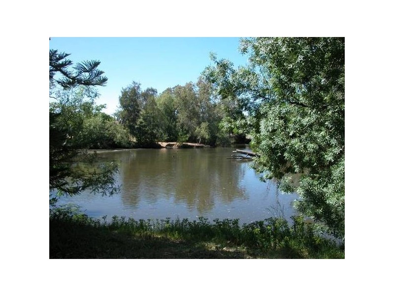 4/185 Forsyth Street, Wagga Wagga NSW 2650