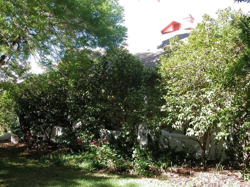 Wagga Wagga NSW 2650