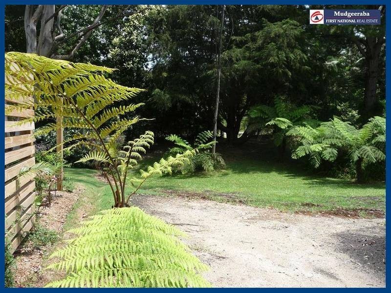 Springbrook QLD 4213