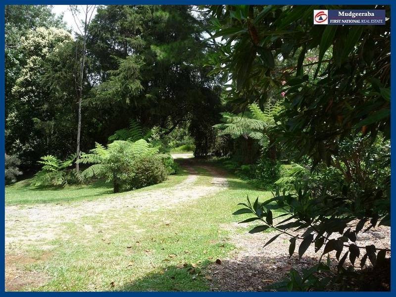 Springbrook QLD 4213