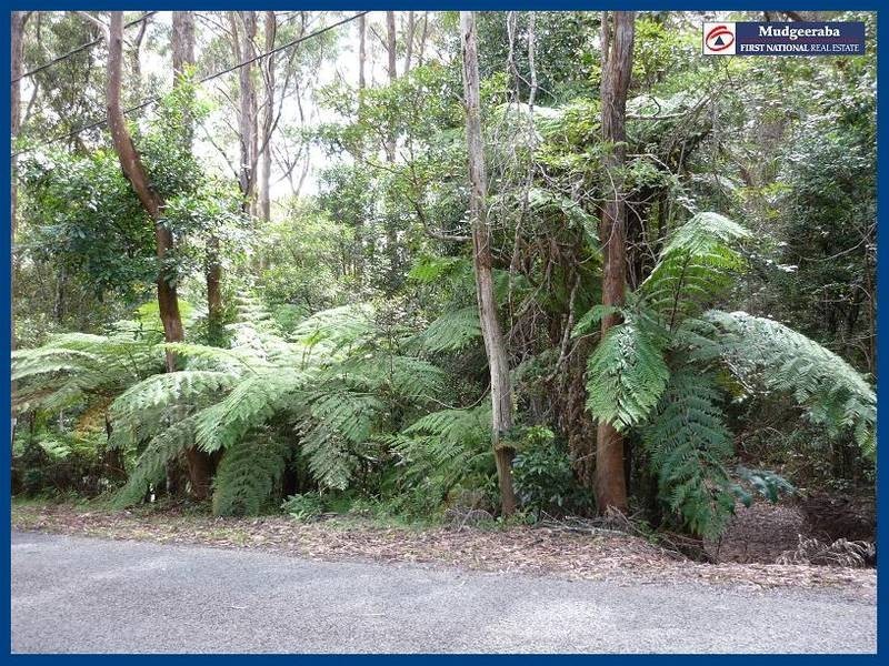 2715 Springbrook Road, Springbrook QLD 4213