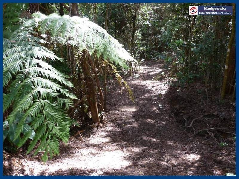 2715 Springbrook Road, Springbrook QLD 4213