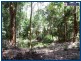 2715 Springbrook Road, Springbrook QLD 4213