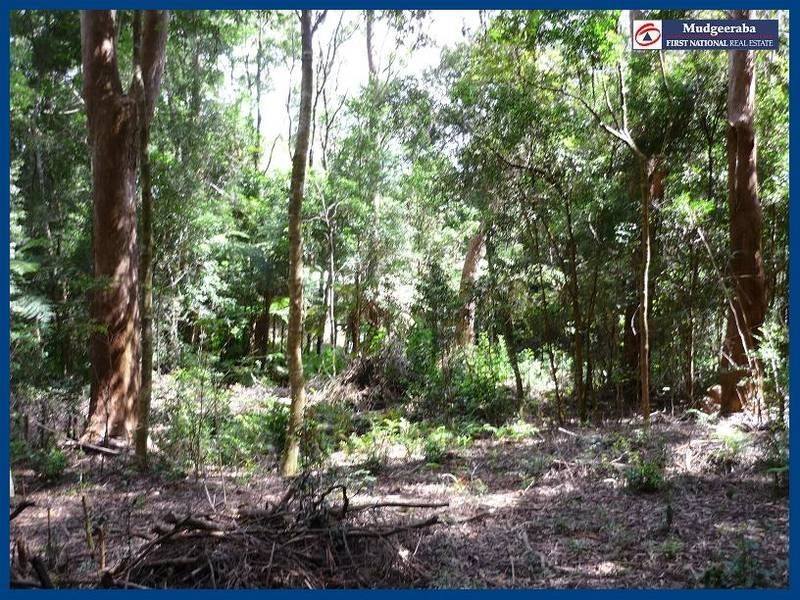 2715 Springbrook Road, Springbrook QLD 4213