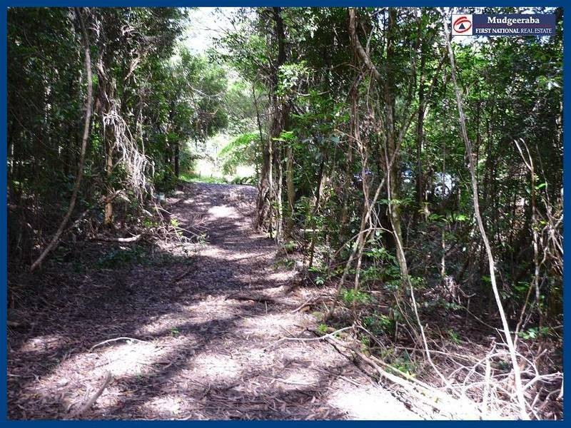 2715 Springbrook Road, Springbrook QLD 4213