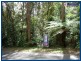 2715 Springbrook Road, Springbrook QLD 4213