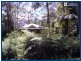 29 Banksia Road, Springbrook QLD 4213