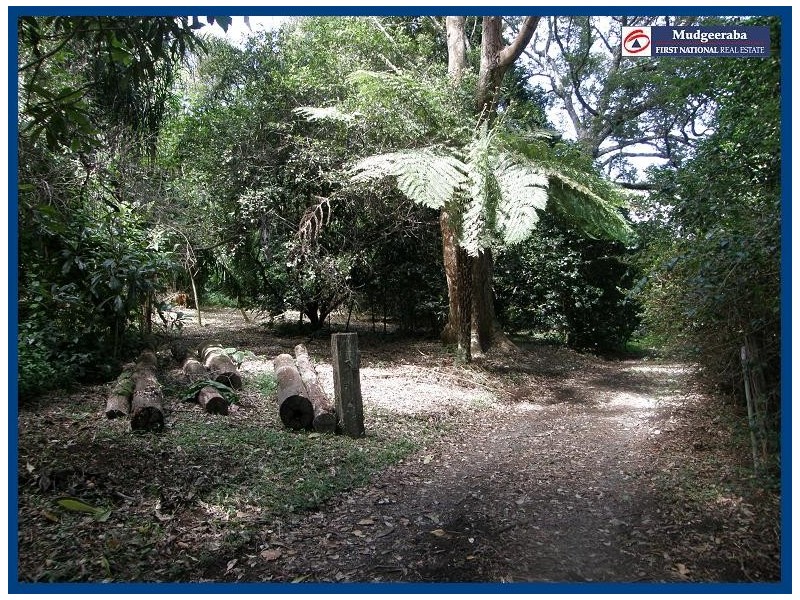 2404 Springbrook Road, Springbrook QLD 4213