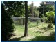 2404 Springbrook Road, Springbrook QLD 4213