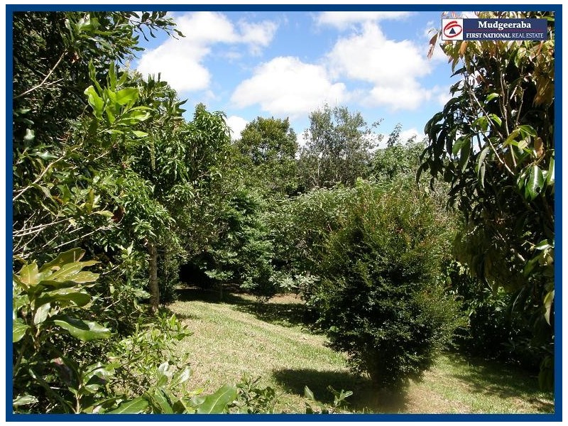 2404 Springbrook Road, Springbrook QLD 4213