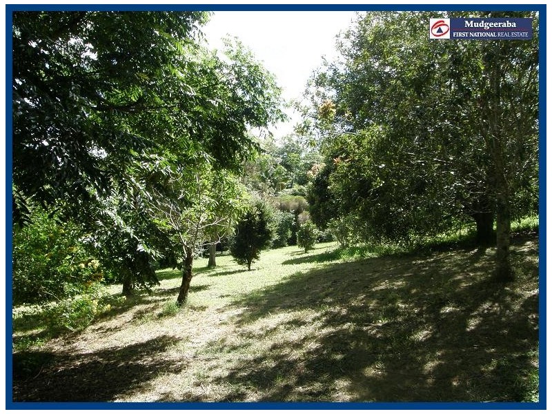 2404 Springbrook Road, Springbrook QLD 4213