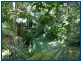2404 Springbrook Road, Springbrook QLD 4213