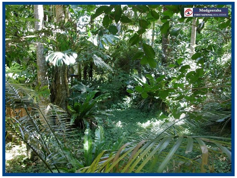 2404 Springbrook Road, Springbrook QLD 4213