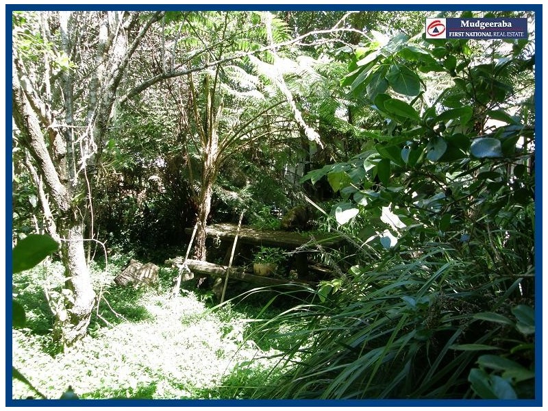 2404 Springbrook Road, Springbrook QLD 4213