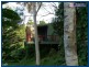 55 Lyre-Bird Ridge Road, Springbrook QLD 4213