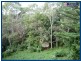 55 Lyre-Bird Ridge Road, Springbrook QLD 4213