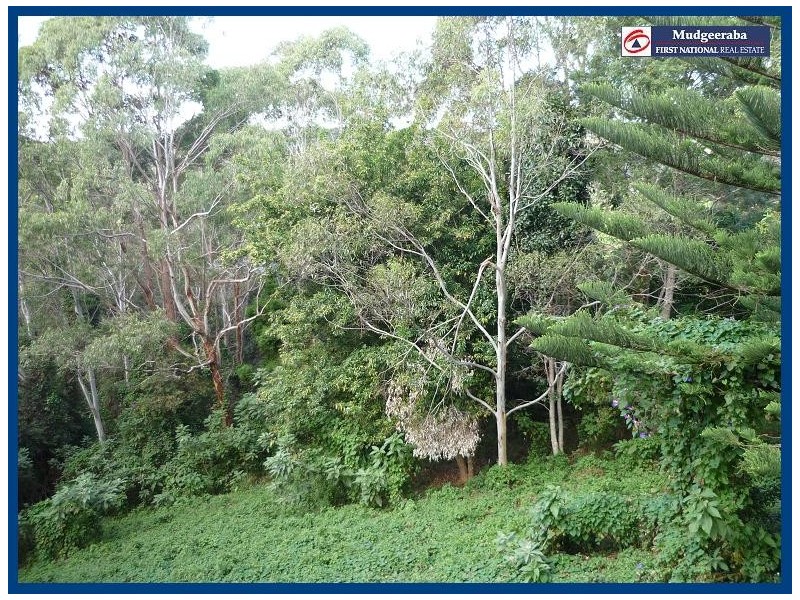 55 Lyre-Bird Ridge Road, Springbrook QLD 4213