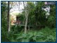 55 Lyre-Bird Ridge Road, Springbrook QLD 4213