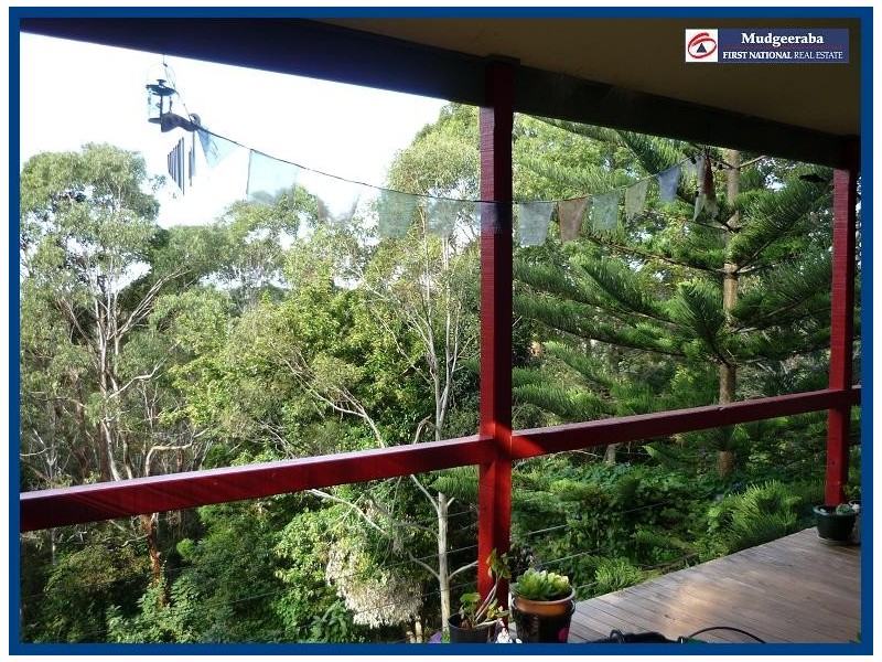 55 Lyre-Bird Ridge Road, Springbrook QLD 4213