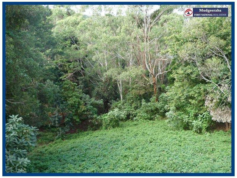 55 Lyre-Bird Ridge Road, Springbrook QLD 4213