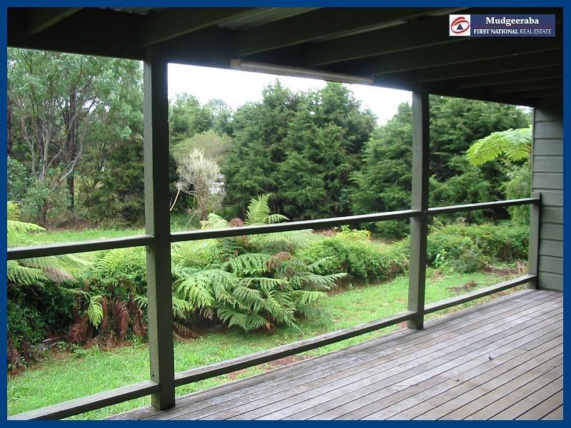 Springbrook QLD 4213