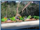 Mudgeeraba QLD 4213