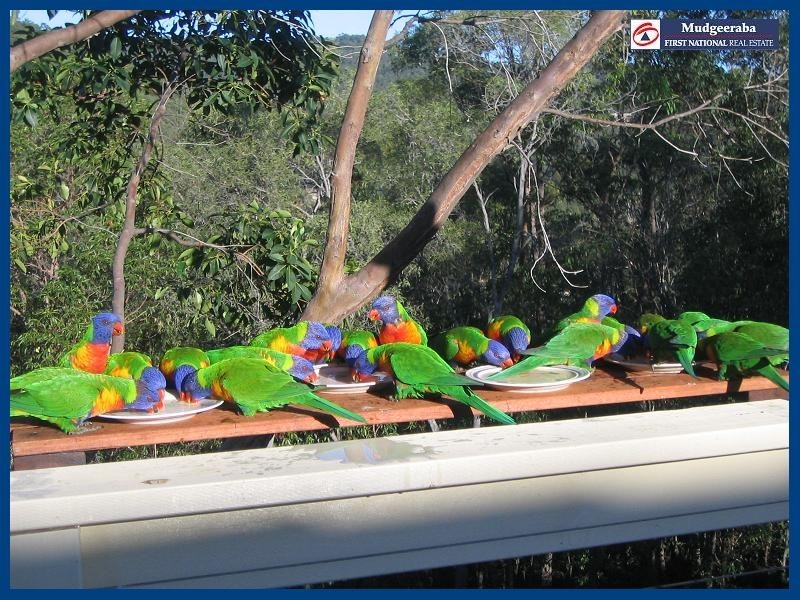 Mudgeeraba QLD 4213