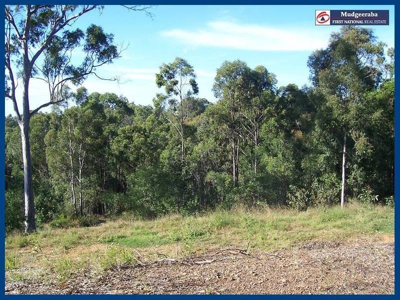 172 San Fernando Drive, Worongary QLD 4213