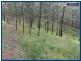 49 Garlinge Court, Bonogin QLD 4213