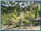 174 San Fernando Drive, Worongary QLD 4213