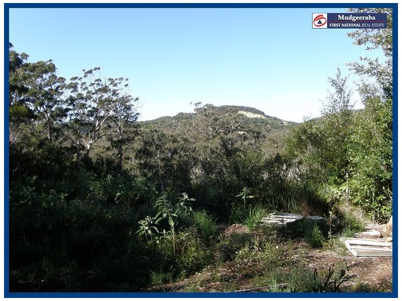 Springbrook QLD 4213