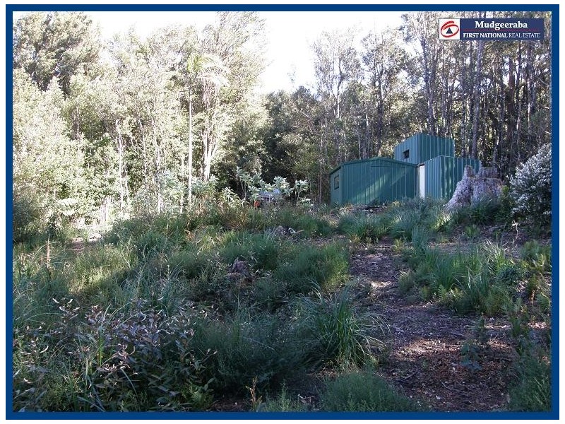 Springbrook QLD 4213