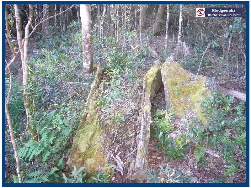 Springbrook QLD 4213