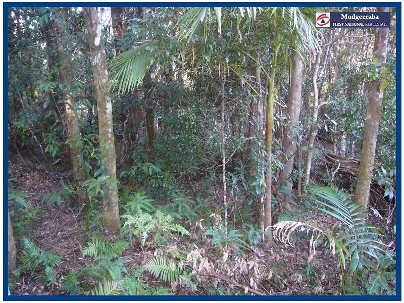 Springbrook QLD 4213