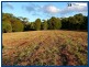 2708 Springbrook Road, Springbrook QLD 4213