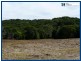 2708 Springbrook Road, Springbrook QLD 4213