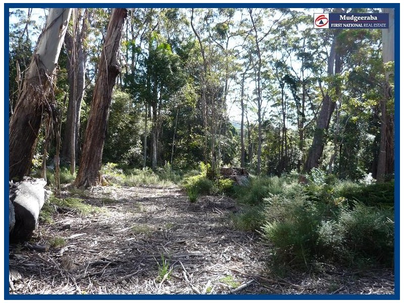 32 Canyon Parade, Springbrook QLD 4213