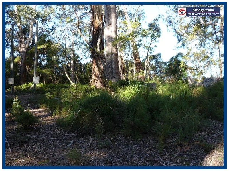 32 Canyon Parade, Springbrook QLD 4213