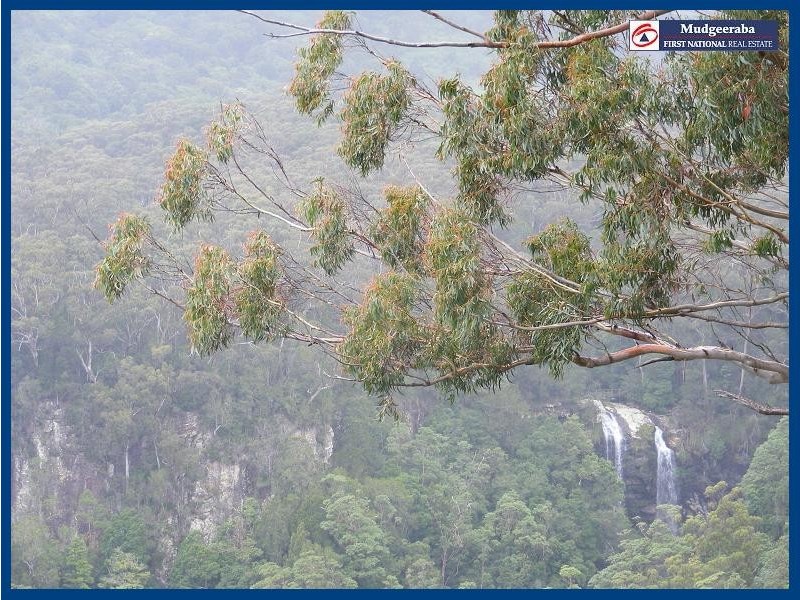 32 Canyon Parade, Springbrook QLD 4213