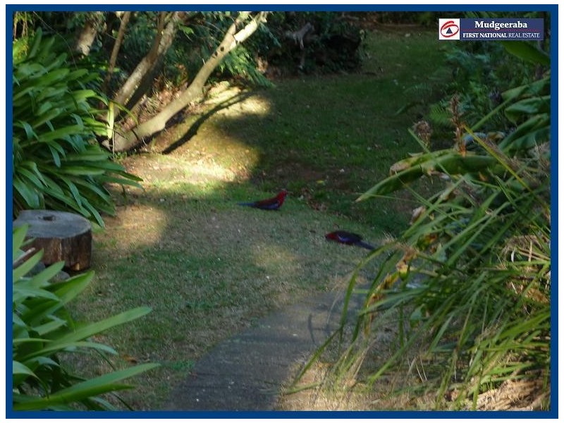 23 Forestry Road, Springbrook QLD 4213