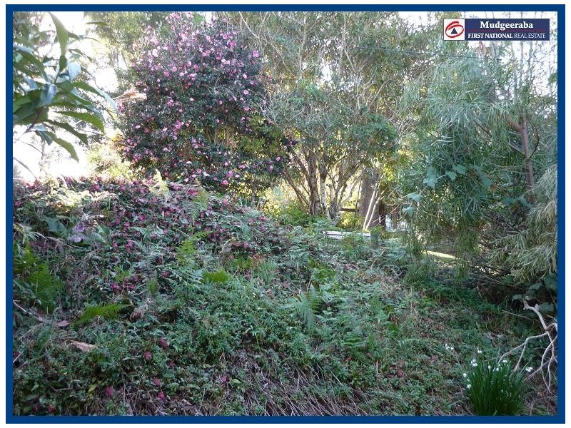 23 Forestry Road, Springbrook QLD 4213