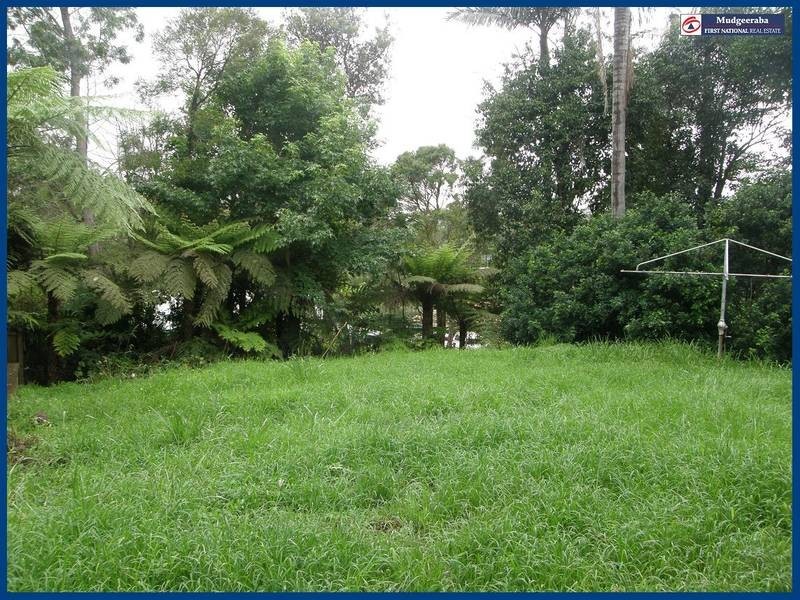 29 Forestry Road, Springbrook QLD 4213