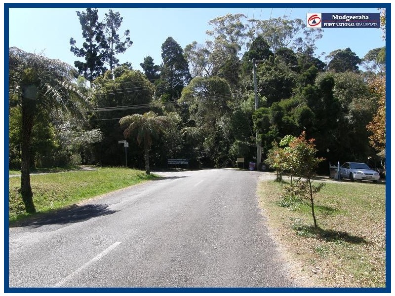 29 Forestry Road, Springbrook QLD 4213