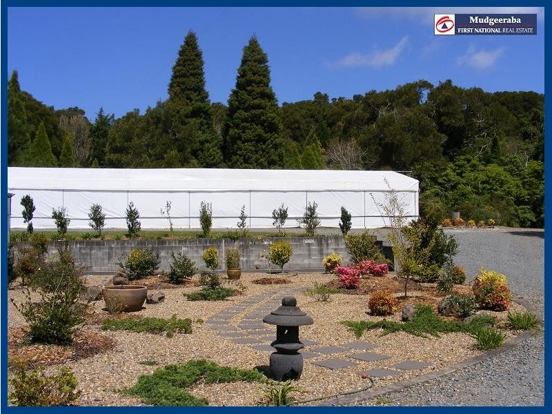 Springbrook QLD 4213