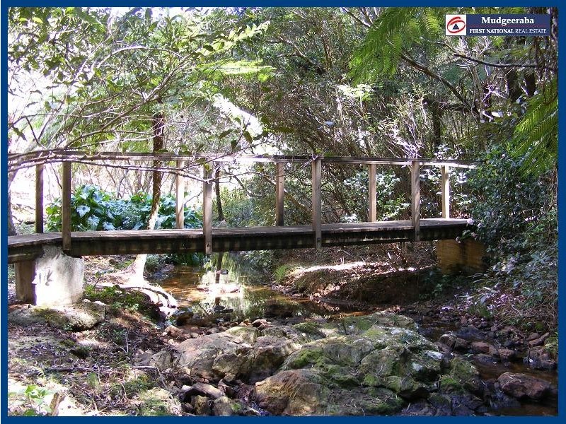 Springbrook QLD 4213